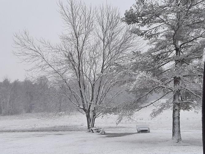 Snow in Elizabethtown-KY-1-27-21.jpg