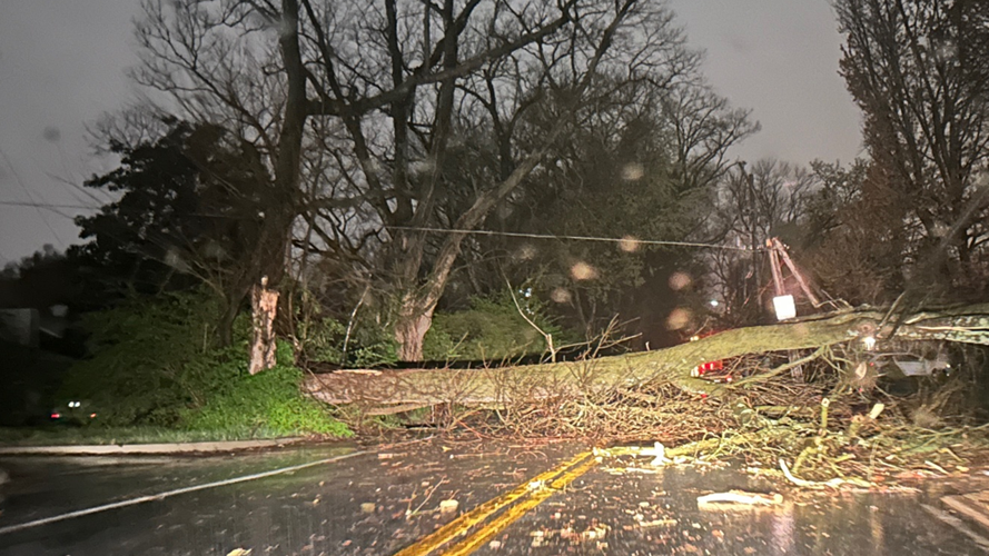 Tree down near St. Matthews