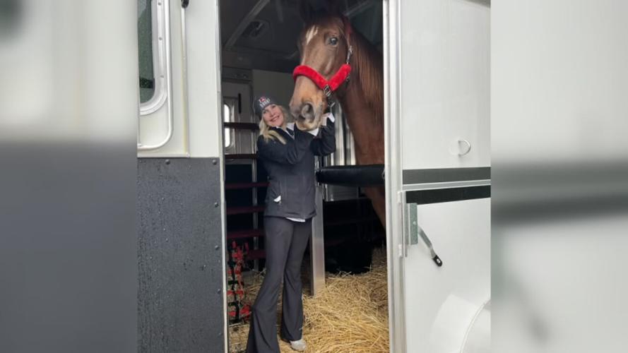 HANK THE HORSE IN NY