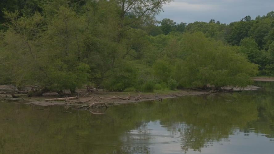 Sympson Lake in Bardstown, Ky.