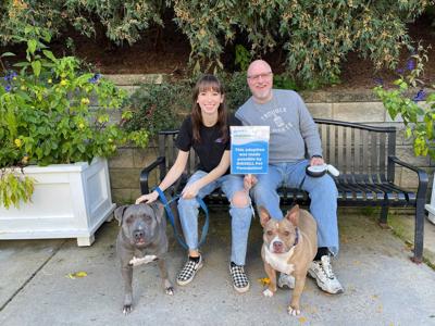Bissell Pet Foundation 'Empty the Shelters'