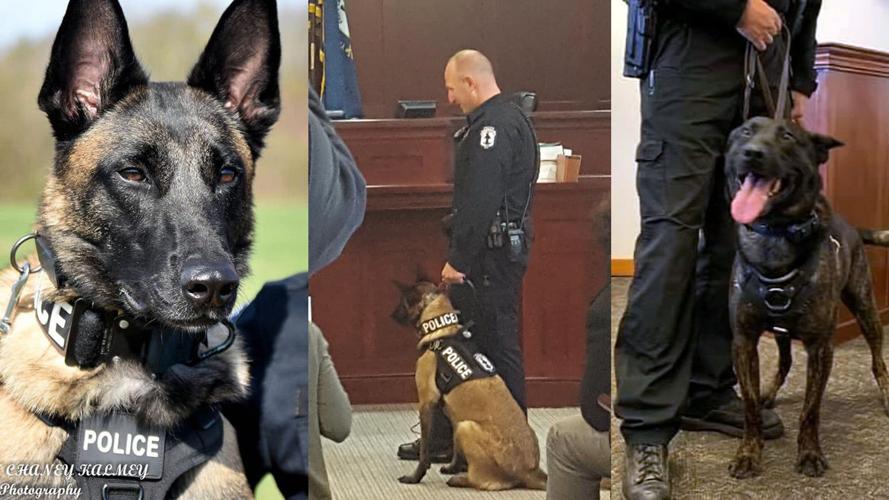 (Left and Center) Shelbyville Police Department's K-9 'J.C.' (Right) LMPD K-9 Hondo