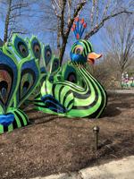 Asian Lanern Festival construction at The Louisville Zoo - Feb. 20, 2020