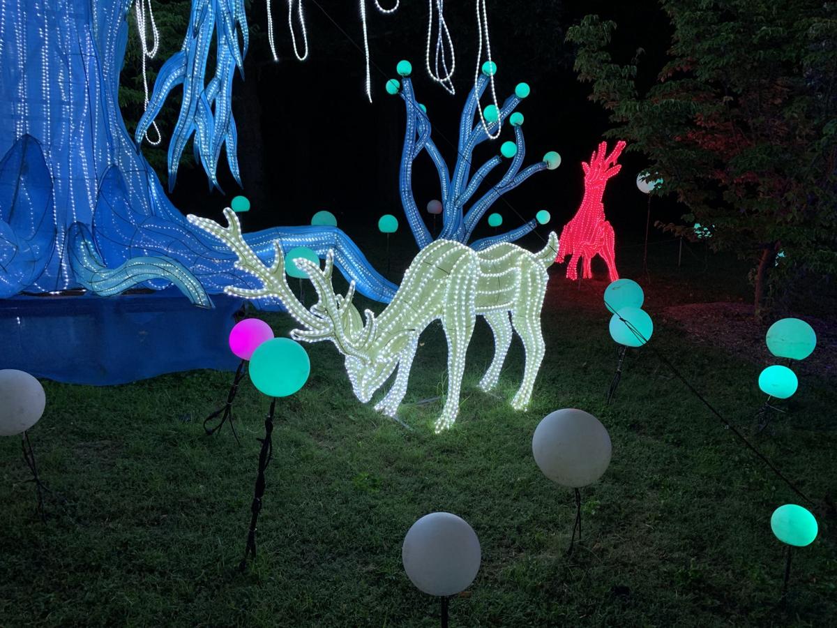 Wild Lights Asian Lantern Festival continues at the Louisville Zoo