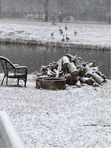 Snow in New Albany-IN-1-27-21.jpg