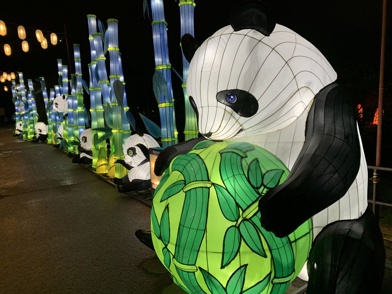 【レア4枚セット】Lamp IMAGES | Wild Lights at the Louisville Zoo showcases the art of