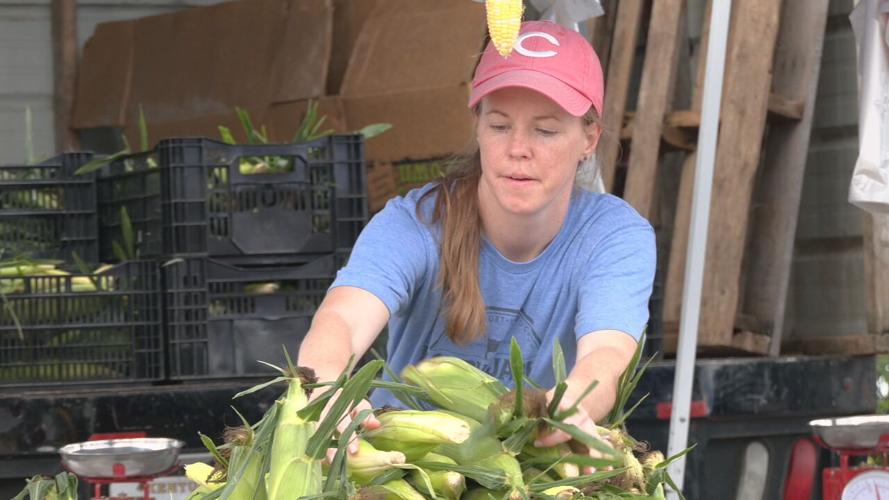 SENIORS FARMERS MARKET.jpeg