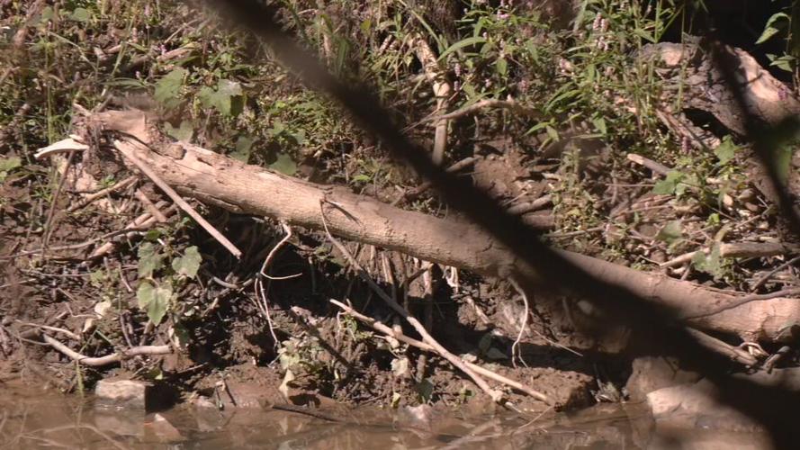 Rolling Fork debris in Nelson County