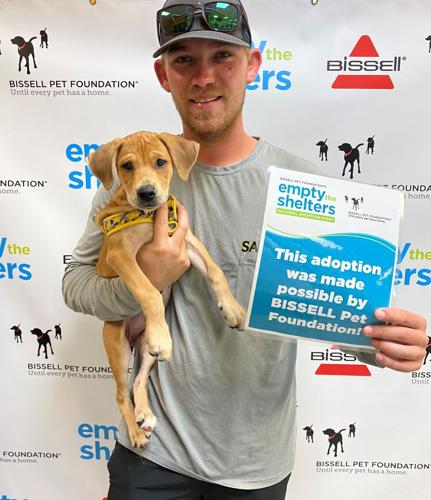 Bissell Pet Foundation 'Empty the Shelters'
