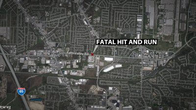 Fern Valley hit and run