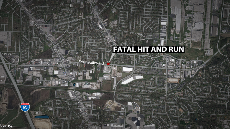 Fern Valley hit and run