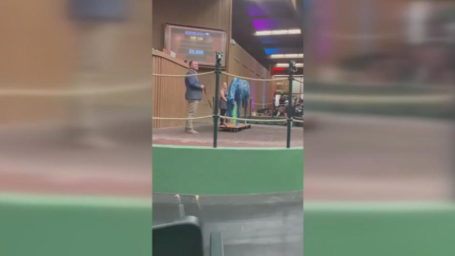 HORSE MANIA LEX FUNDRAISE