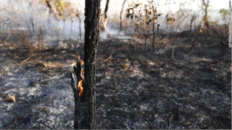 Amazon rain forest fire.JPG