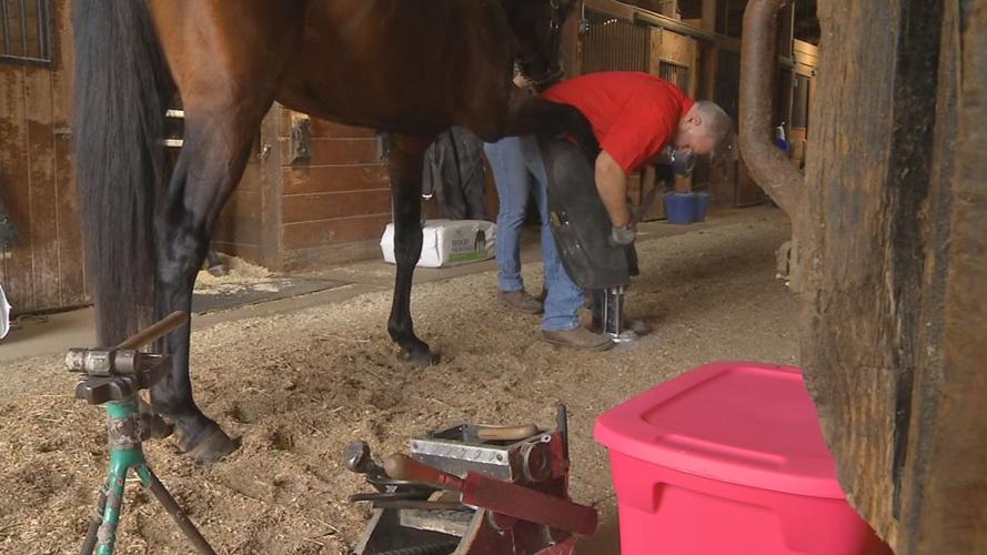 Equine blacksmith, dentist explains task of caring for a derby horse