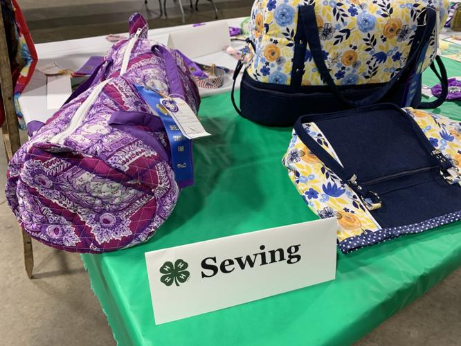 Shelby County Fair (18).JPG