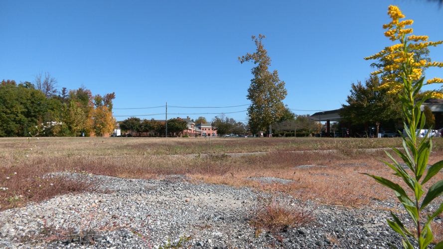 prospect cove site 1.png