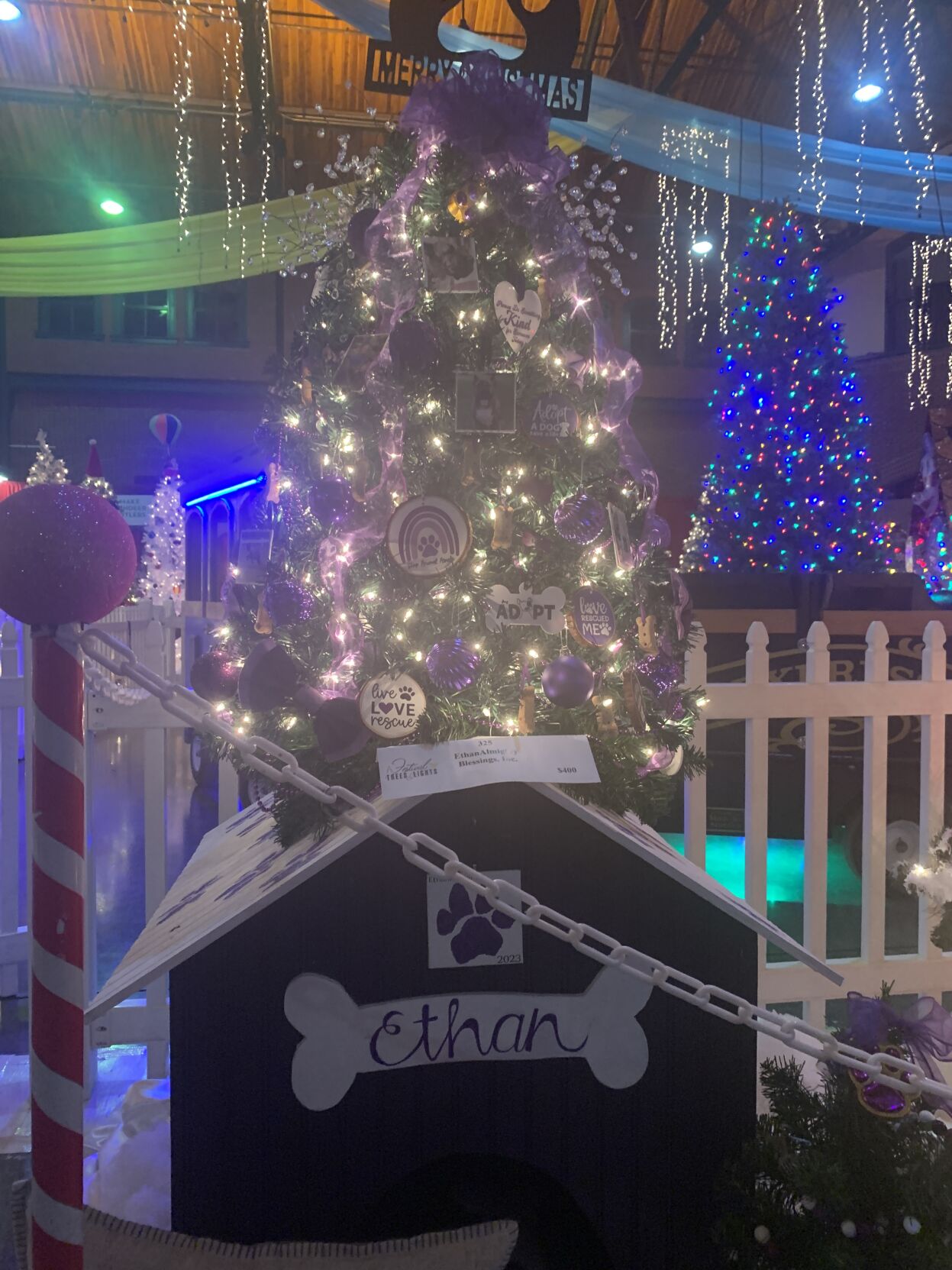 Christmas trees at 2023 Festival of Trees and Lights