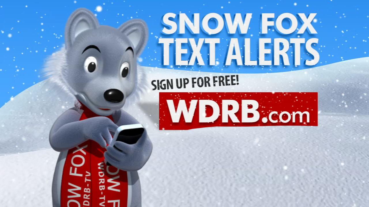 Snow Fox Text Alerts