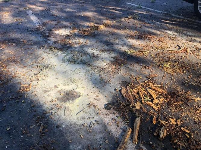 JAMESTOWN APARTMENTS - ST MATTHEWS - BUS STOP SHOOTING JEEP FOUND 9-23-2021 3.jpg