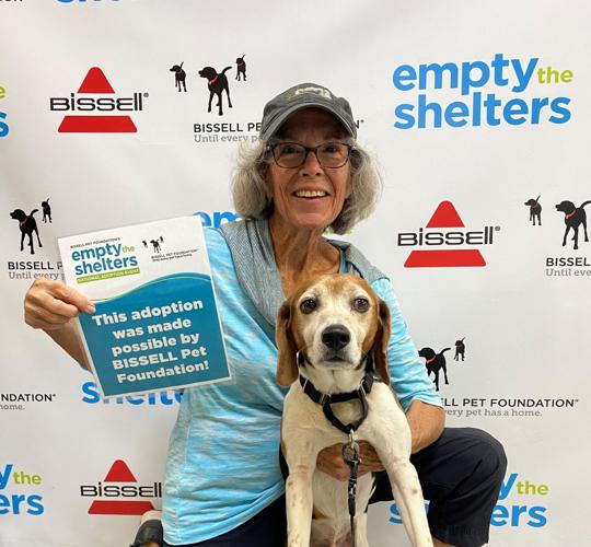Bissell Pet Foundation 'Empty the Shelters'