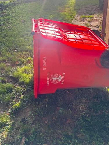 Puppy abandoned in recycling bin