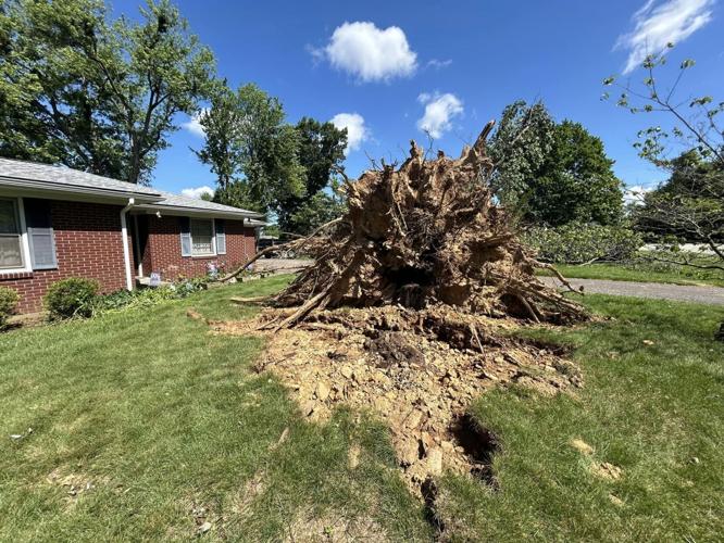 STORM DAMAGE - FERN CREEK STOUT DRIVE 5-28-2024 2.jpg