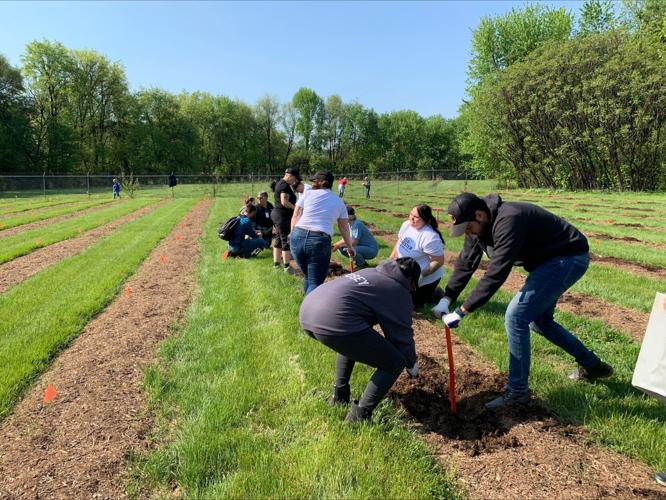 OLD FORESTER TREE PLANTING - 4-18-2023 (3).jpeg
