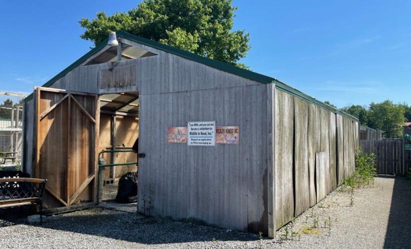 WILDLIFE IN NEED PROPERTY AUCTION - COURTESY HEIL'S AUCTION 5.jpg