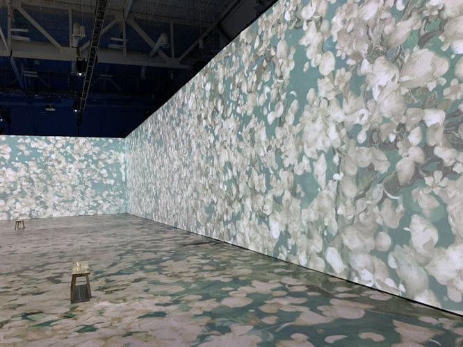 VAN GOGH EXHIBIT - KICC - 7-6-2022  (11).JPG