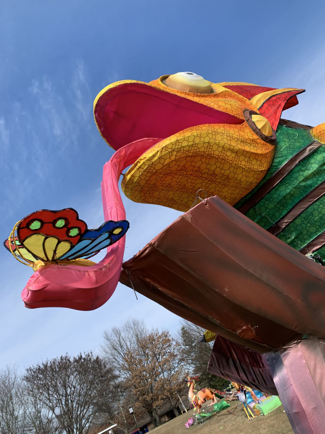 Asian Lantern Festival (Butterfly).jpg