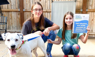 Bissell Pet Foundation 'Empty the Shelters'
