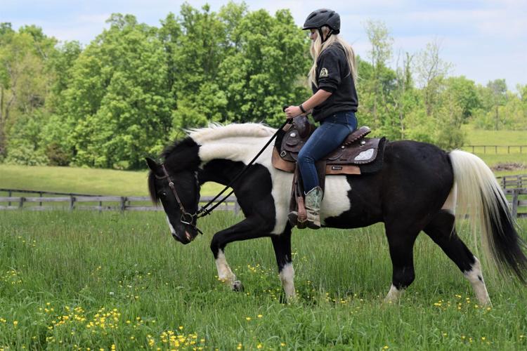 Horse and rider