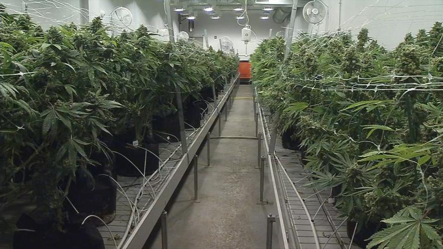 As legalization talk continues in Kentucky and Indiana, neighboring Illinois is making medical marijuana work