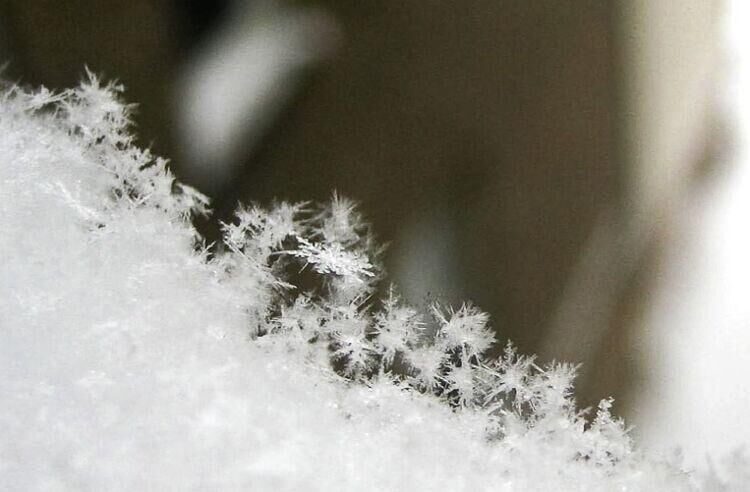 Snowflakes are shape-shifters, changing with temperature, moisture