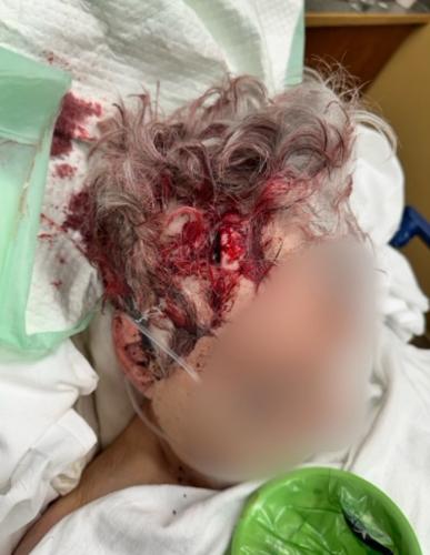 Valley Station home invasion victim 2.jpg