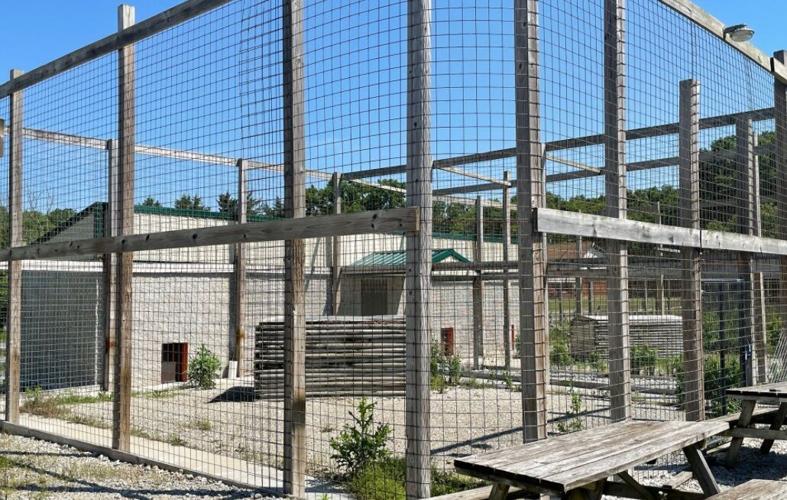 WILDLIFE IN NEED PROPERTY AUCTION - COURTESY HEIL'S AUCTION 8.jpg