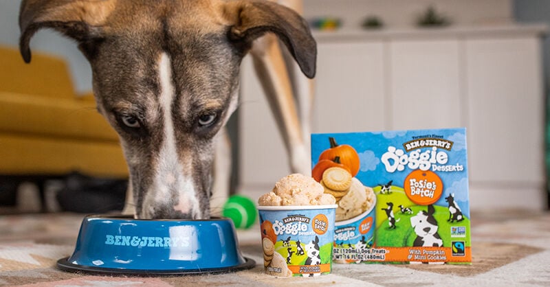 Ben Jerry s makes dog ice cream as pet food industry grows