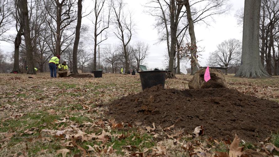 Mayor Tree Planing 3.jpg