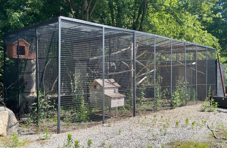 WILDLIFE IN NEED PROPERTY AUCTION - COURTESY HEIL'S AUCTION 9.jpg