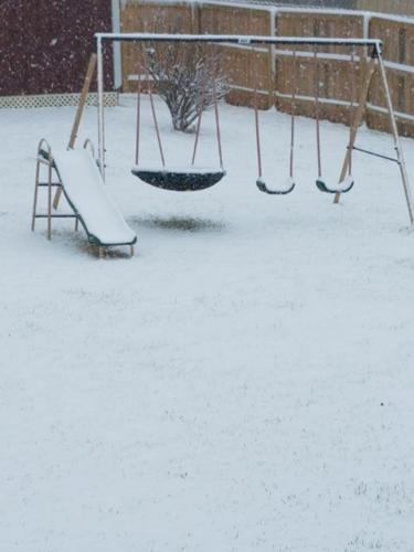 Snow in Salem, Indiana 1-27-21.jpg