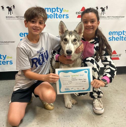 Bissell Pet Foundation 'Empty the Shelters'