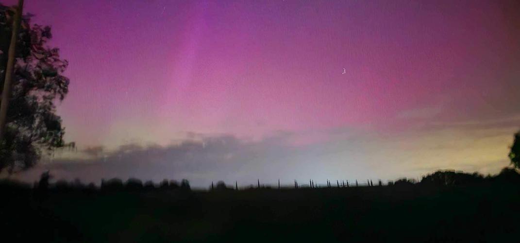 tiffany 3 interview corydon (2).JPG