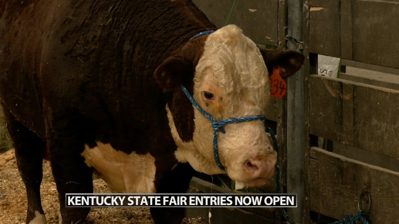 Entries for the Kentucky State Fair now being accepted