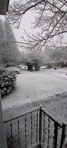 Snow in west Louisville near Shawnee Park 1-27-21.jpg