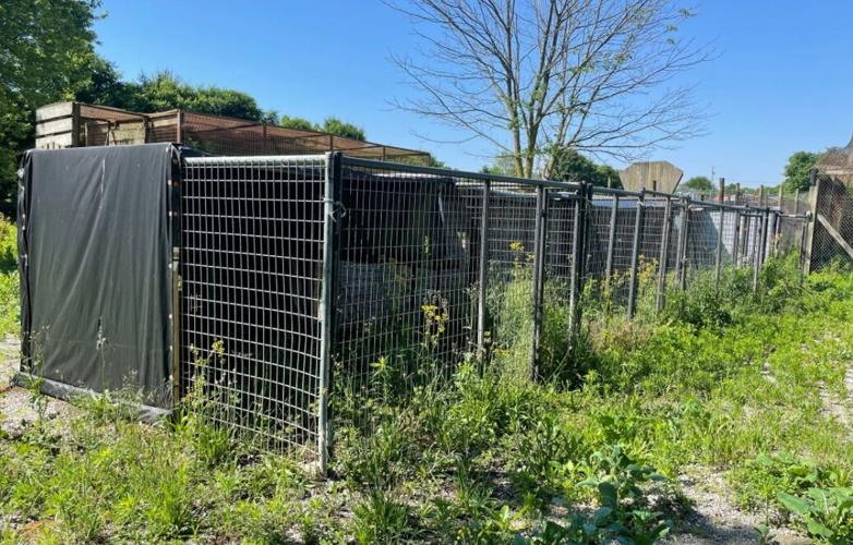 WILDLIFE IN NEED PROPERTY AUCTION - COURTESY HEIL'S AUCTION 10.jpg