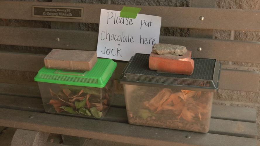 Turtles Stolen from Louisville Nature Center
