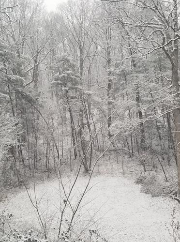 Snow in Lebanon Junction 1-27-21.jpg