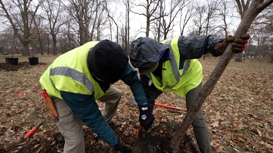 Mayor Tree Planing 4.jpg