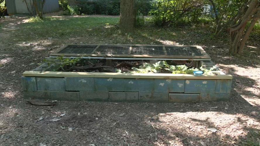 Turtles Stolen From Louisville Nature Center