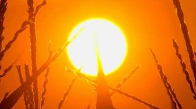 Indiana and Kentucky Working Toward Alternative Energy Sources